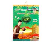 2010中國(guó)人壽專版掛歷