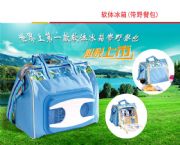 廣告軟體車(chē)載冰箱（帶餐包）